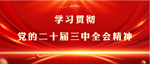 学习贯彻党的二十届三中全会精神